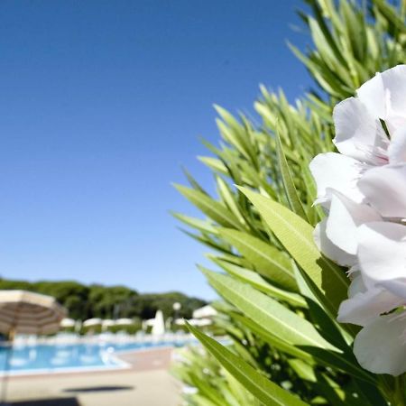 Isa-Apartments 4 Beds In Residence With Swimming-Pool In San Vincenzo, Just 600 Meters From The Sea ภายนอก รูปภาพ